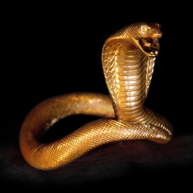 Extravagant Sex Products